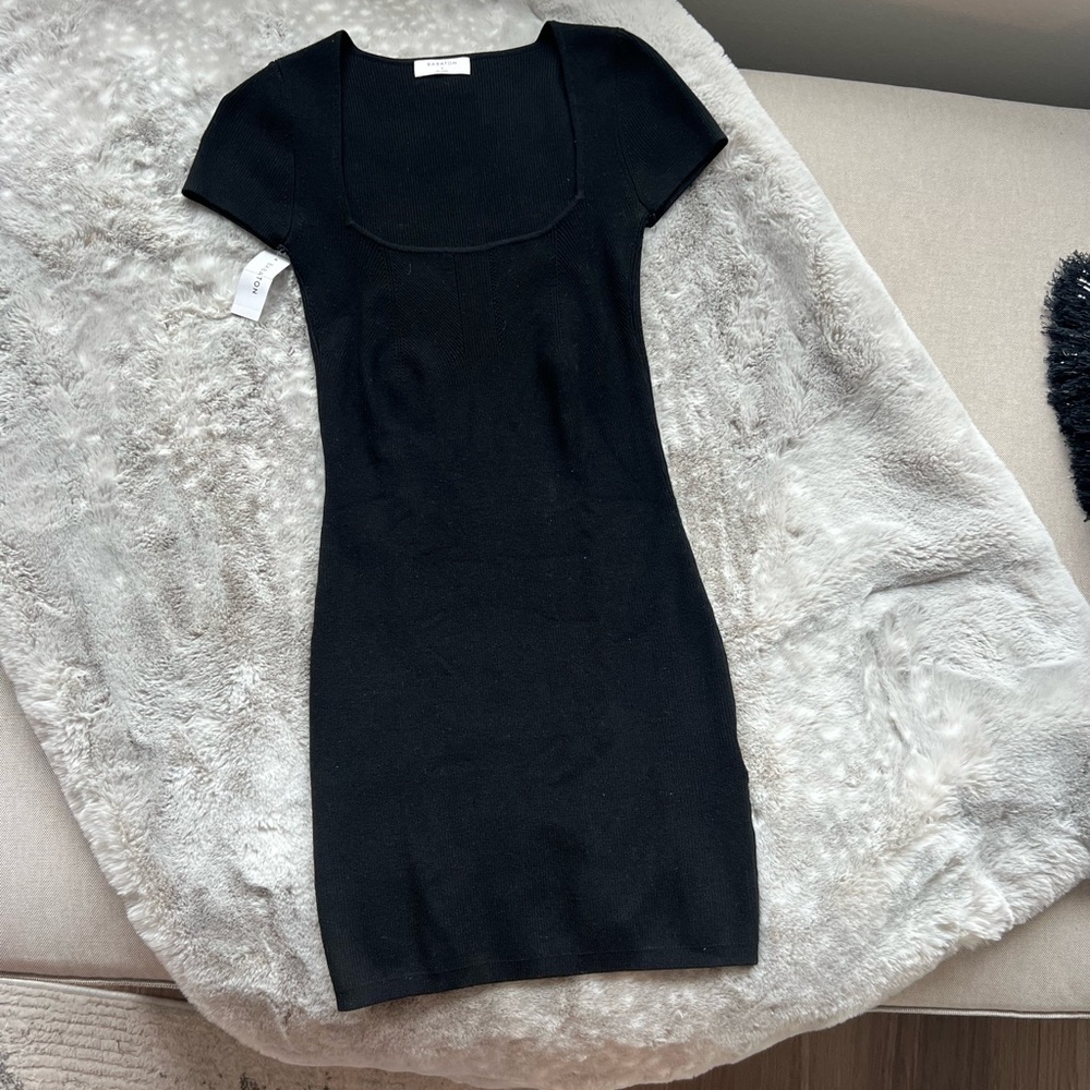 Babaton Aritzia bodycon dress